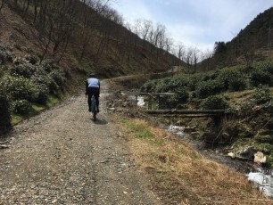 The back gravel