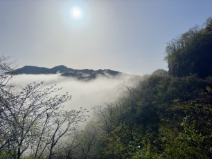 A nice moring on Daming