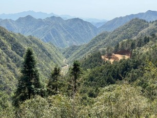 The long uphill